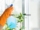 demo-attachment-669-432924-PE8C6I-858